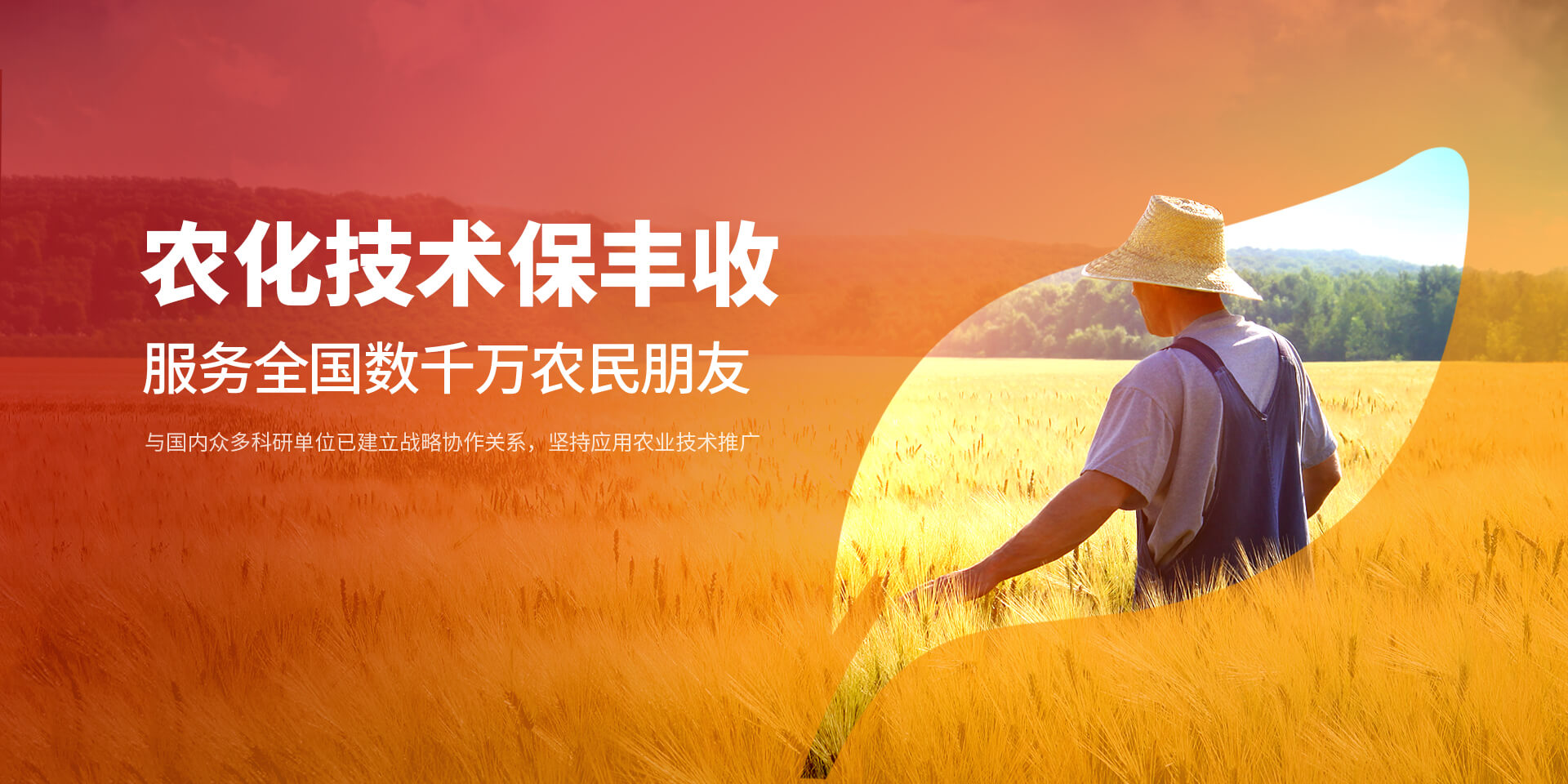 安阳免费在线看片视频新肥科技有限公司