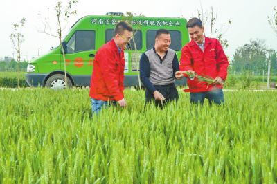 免费在线看片视频化肥定制化生产让经销商扮演新角色
