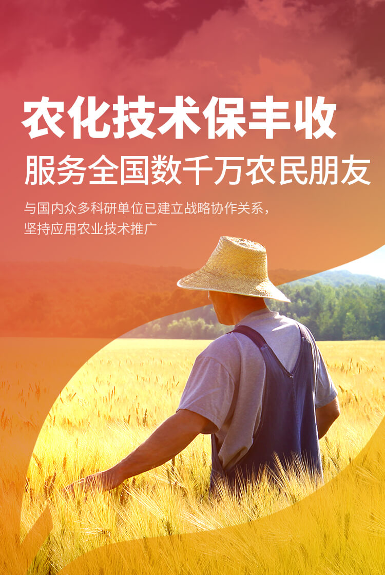 安阳免费在线看片视频新肥科技有限公司